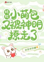 ����С�Ȱ��ֱ�����������